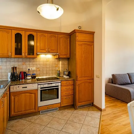 Dzirnavu Street In City Center Apartment Riga