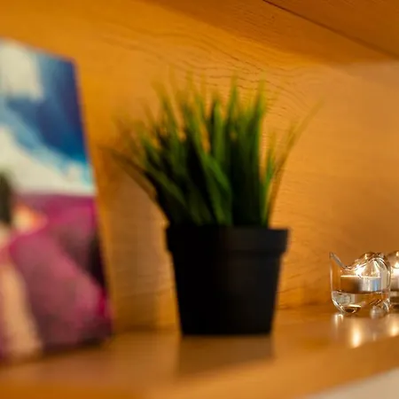 Apartment Dzirnavu Street In City Center